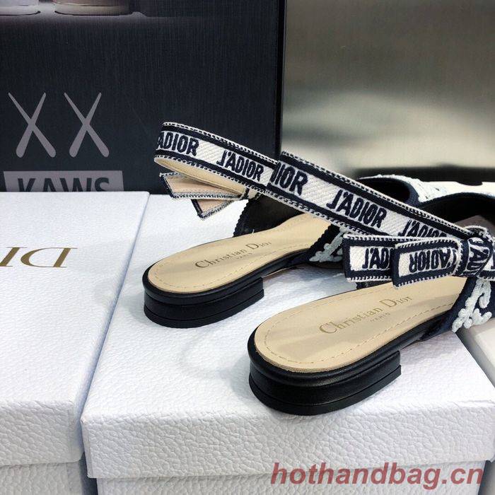 Chrisitan Dior shoes CD00012